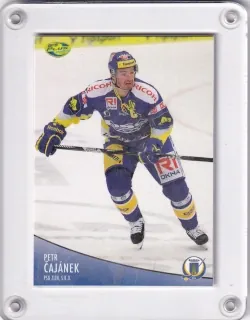Čajánek Petr OFS 2012-13  č.300