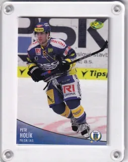 Holík Petr OFS 2012-13  č.301