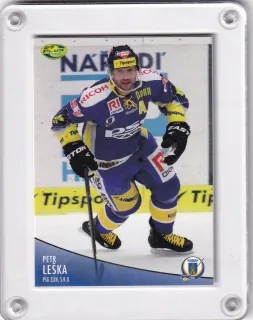 Leška Petr OFS 2012-13  č.302