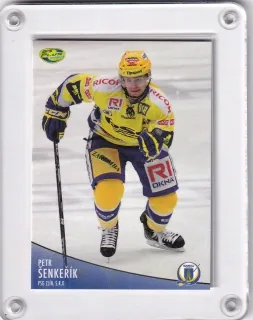 Šenkeřík Petr OFS 2012-13  č.303