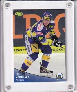 Zámorský Petr OFS 2012-13  č.304