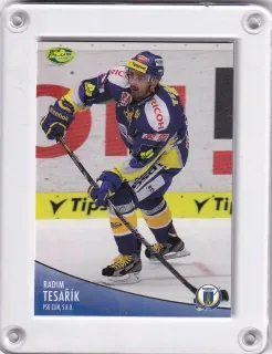 Tesařík Radim OFS 2012-13  č.305