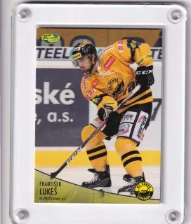 Lukeš František OFS 2012-13  č.308