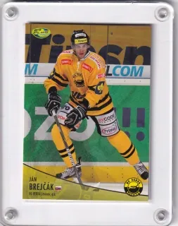 Brejčák Ján OFS 2012-13  č.310