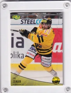 Zeman Jiří OFS 2012-13  č.312
