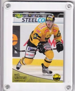 Stříteský Matěj OFS 2012-13  č.317