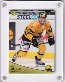 Stříteský Matěj OFS 2012-13 DIE-CUT č.317