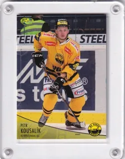 Kousalík Petr OFS 2012-13  č.322