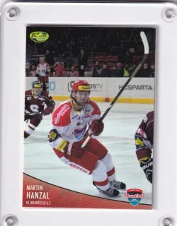 Hanzal Martin OFS 2012-13  č.331