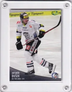 Dušek Antonín OFS 2012-13  č.334