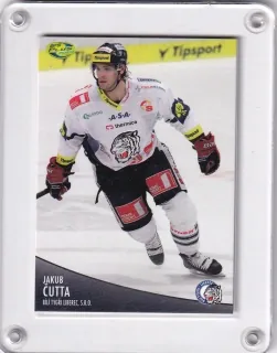 Čutta Jakub OFS 2012-13  č.336