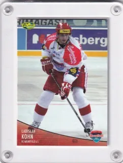 Kohn Ladislav OFS 2012-13  č.339