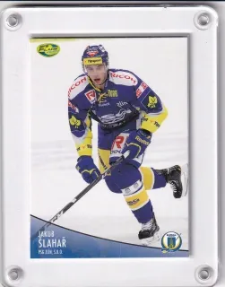 Šlahař Jakub OFS 2012-13  č.360