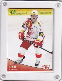 Kučný Jiří OFS 2012-13  č.361