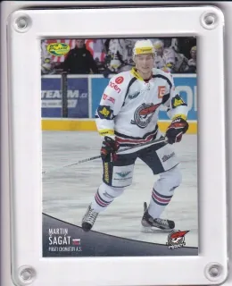 Šagát Martin OFS 2012-13  č.388