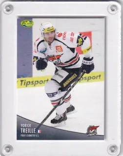 Treille Yorick OFS 2012-13  č.391