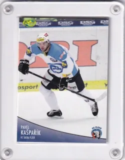 Kašpařík Pavel OFS 2012-13  č.413
