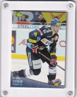 Stehlík Richard OFS 2012-13  č.419