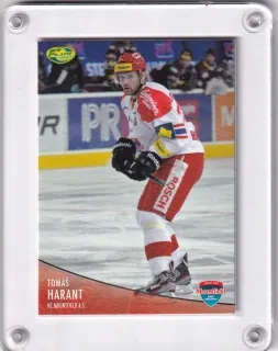 Harant Tomáš OFS 2012-13  č.427