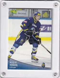 Hořava Miloslav OFS 2012-13  č.432