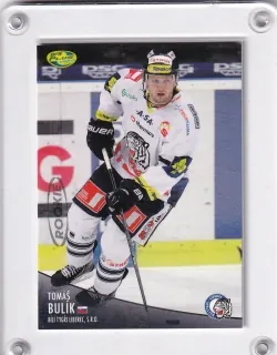 Bulík Tomáš OFS 2012-13  č.433