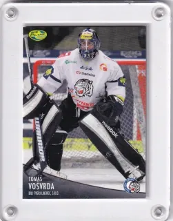Vošvrda Tomáš OFS 2012-13  č.435