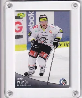 Pospíšil Tomáš OFS 2012-13  č.438