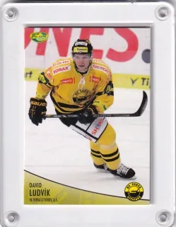 Ludvík David OFS 2012-13  č.442