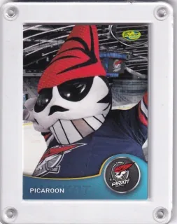 Picaroon (maskot) OFS 2012-13 Chomutov č.CH2