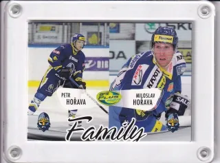 Hořava Petr a Miloslav OFS 2012-13 Dotisk II. - Family č.F7