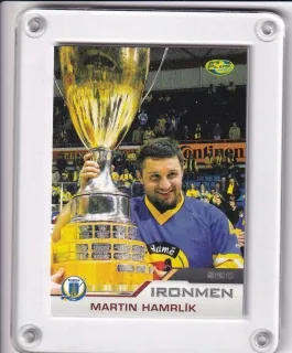Hamrlík Martin OFS 2012-13 Ironmen č.IR09