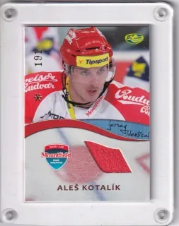 Kotalík Aleš OFS 2012-13  č.J23