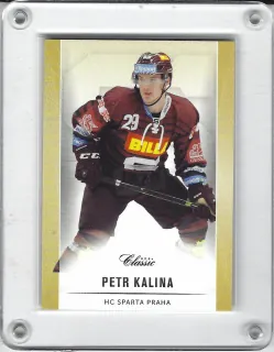 Kalina Petr OFS 2016-17  č.11