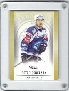 Čerešňák Peter OFS 2016-17  č.80