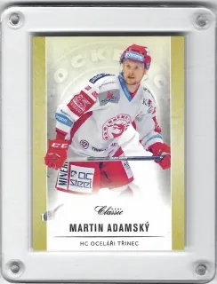Adamský Martin OFS 2016-17  č.146