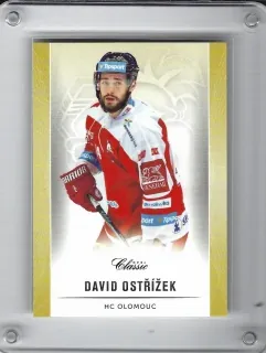 Ostřížek David OFS 2016-17 č.292