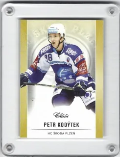 Kodýtek Petr OFS 2016-17 č.328