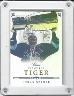 Derner Lukáš OFS 2016-17 Gold Rainbow /19 č.EOT-12