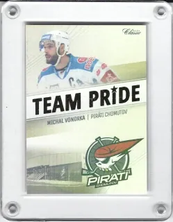 Vondrka Michal OFS 2016-17 Team Pride 1of100 č.TP-07