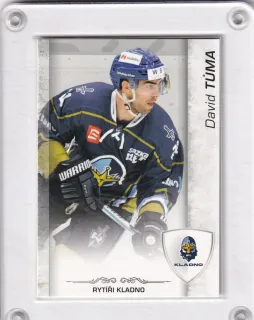 Tůma David OFS 2017-18 Kladno (Rytíři Kladno, WSM Liga) č.RK-20