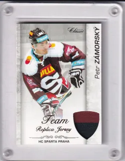 Zámorský Petr OFS 2017-18 Team Replica Jersey /29 č.TRJ-18