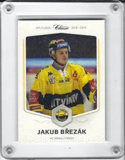 Březák Jakub OFS Classic 2018-19 II.série Rainbow paralelní x/9 č.497