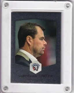Špaček Jaroslav OFS Classic 2018-19 Silver 1of55 č.322