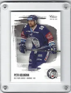 Kolmann Petr OFS 2019-20  č.22