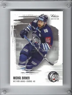 Birner Michal OFS 2019-20  č.31