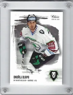 Dlapa Ondřej OFS 2019-20  č.132