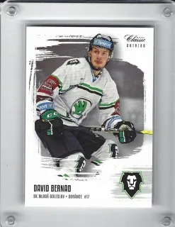 Bernad David OFS 2019-20  č.141