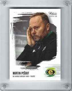 Pešout Martin OFS 2019-20  č.216