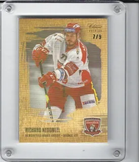 Nedomlel Richard OFS 2019-20 Gold Rainbow /9 č.84