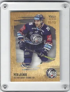 Jelínek Petr OFS 2019-20 Gold Sand /15 č.29